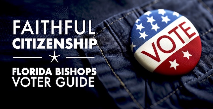 Faithful Citizenship link